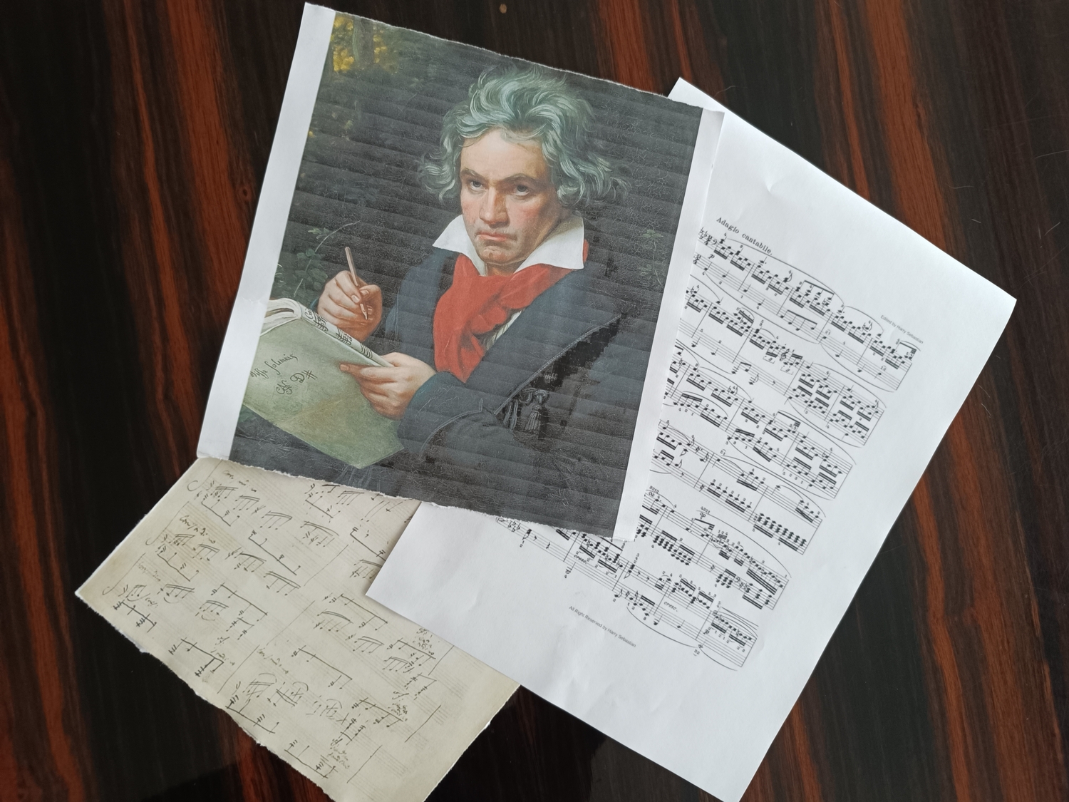 Литературно-музыкальная программа о Бетховене пройдет в Восточном Измайлово , фото