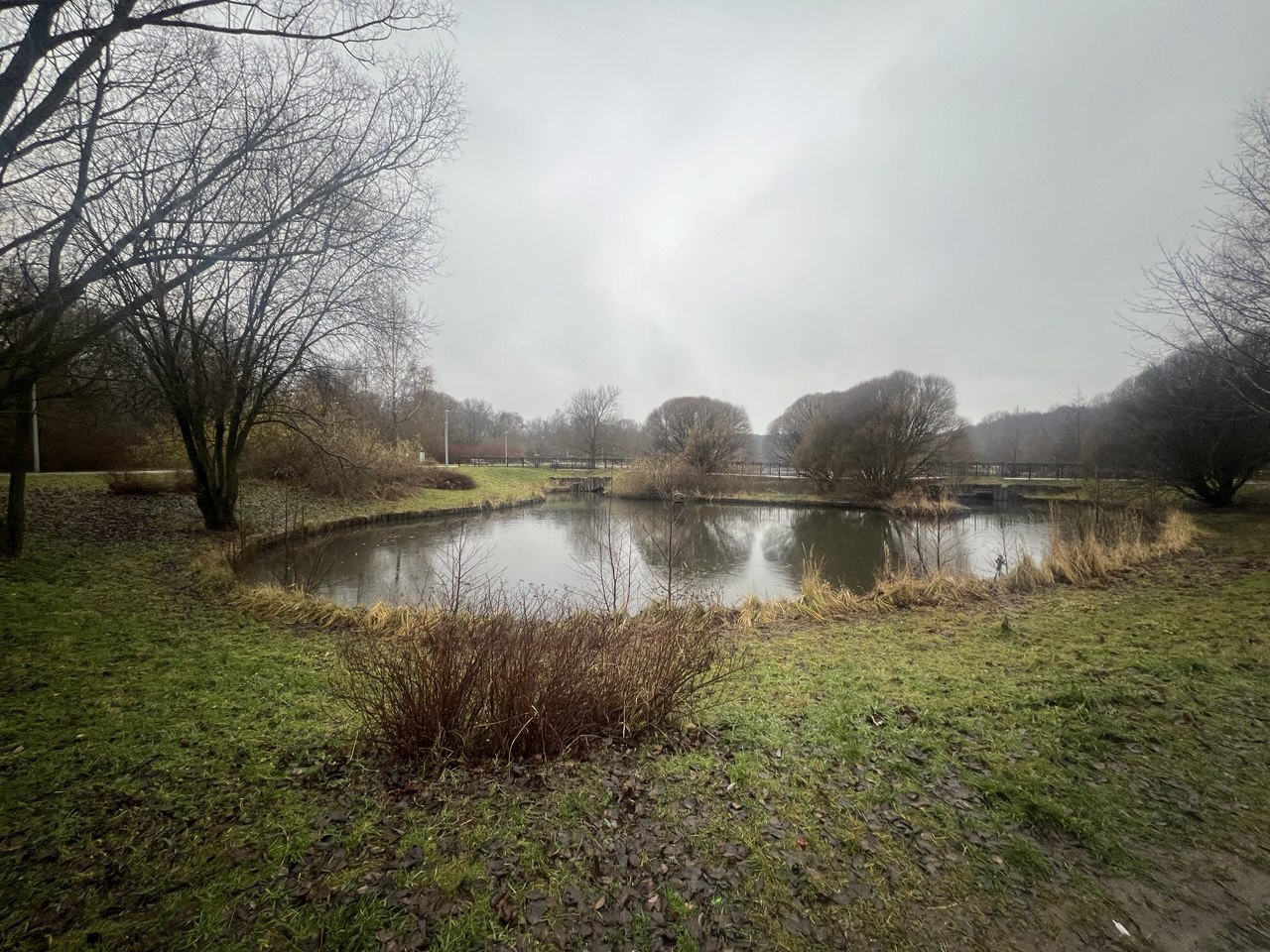 Эковыходные пройдут в районе Ивановское, фото