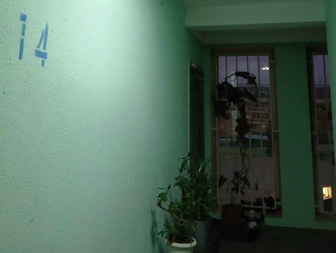 Более 50 подъездов отремонтировали в Северном в этом году, фото