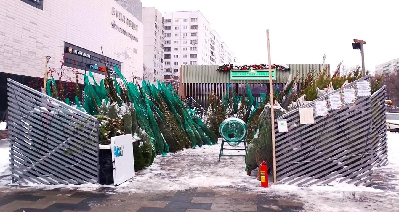 Жителям Бибирево сообщили об открытии елочного базара, фото
