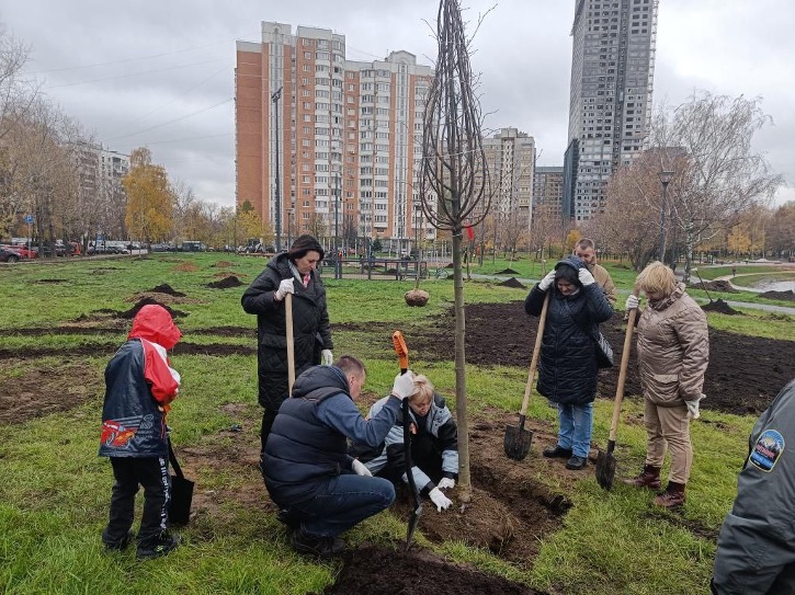 Более тысячи новых деревьев и кустарников высадили в Свиблово в этом году, фото