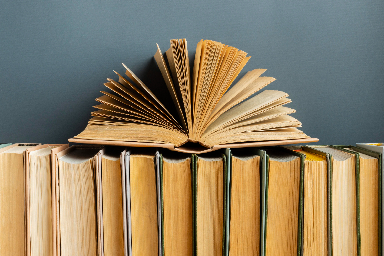 Читатели Бирюлево Восточного обсудят творчество военных писателей Некрасова и Бондарева, фото