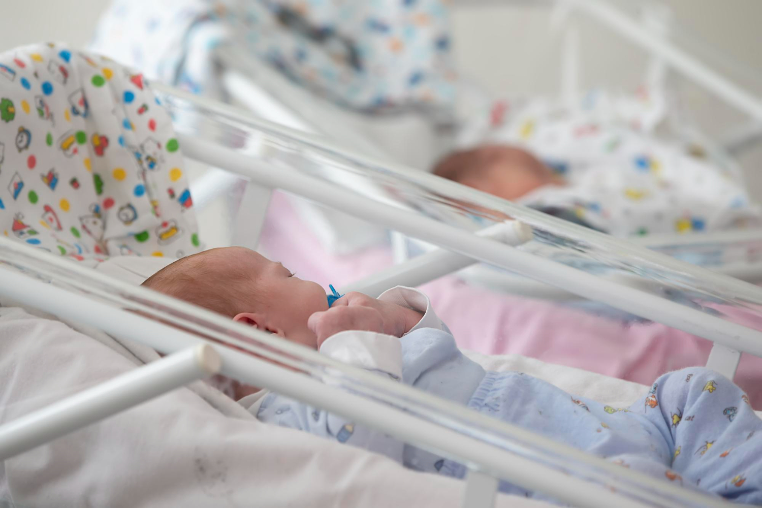 Двух новорожденных в Москве назвали Грачами, фото