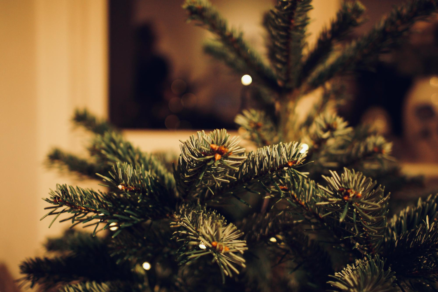 Москвичи могут сдать новогоднюю елку на экологичную переработку через сервис «Вывоз ненужных вещей» на mos.ru, фото