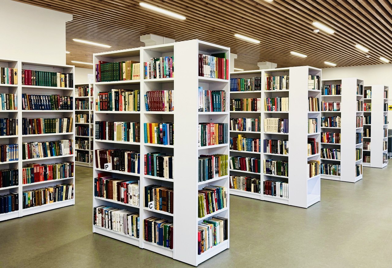 Знакомство с творчеством Салтыкова‑Щедрина состоится в библиотеке Царицыно, фото