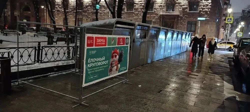 В Пресненском районе открыли пункты сбора новогодних елок, фото