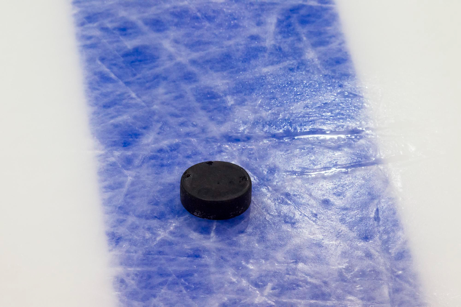 Молодежная палата организует турнир по дворовому хоккею в парке Артема Боровика в Марьино, фото