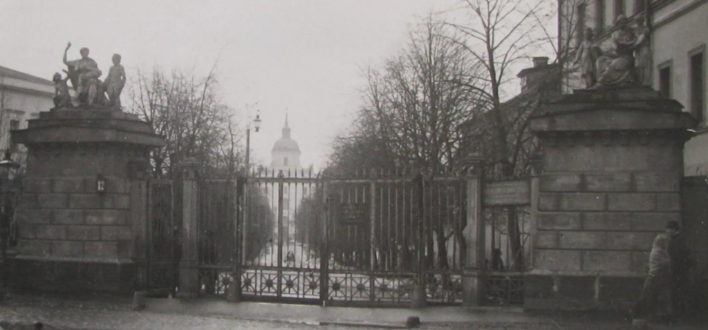 Китай-город и вновь Китай-город: по &laquo;каменному разнотравью&raquo; Васильевского луга  фото