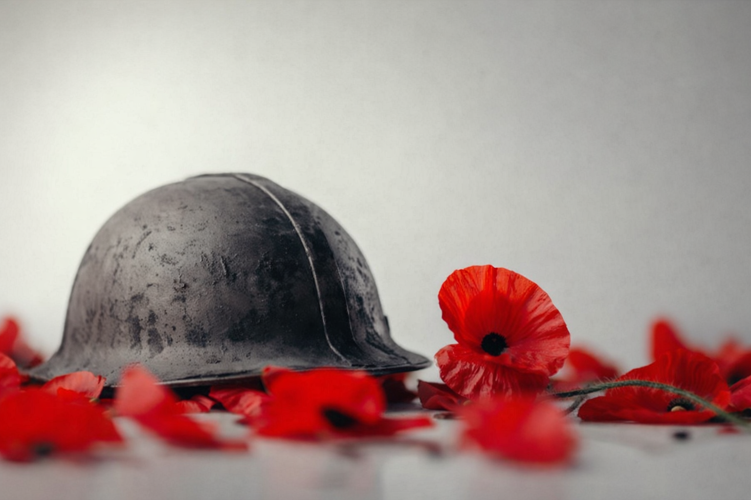 В районе Куркино пройдет программа ко Дню памяти юного героя-антифашиста, фото