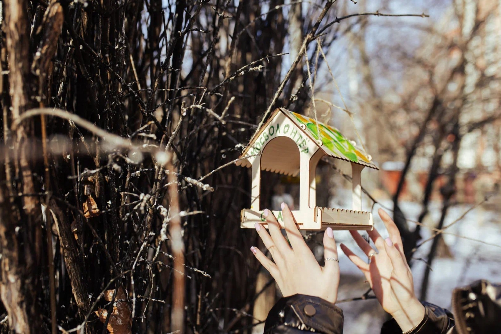 Сергунина: Волонтерский корпус столицы поможет орнитологам, фото