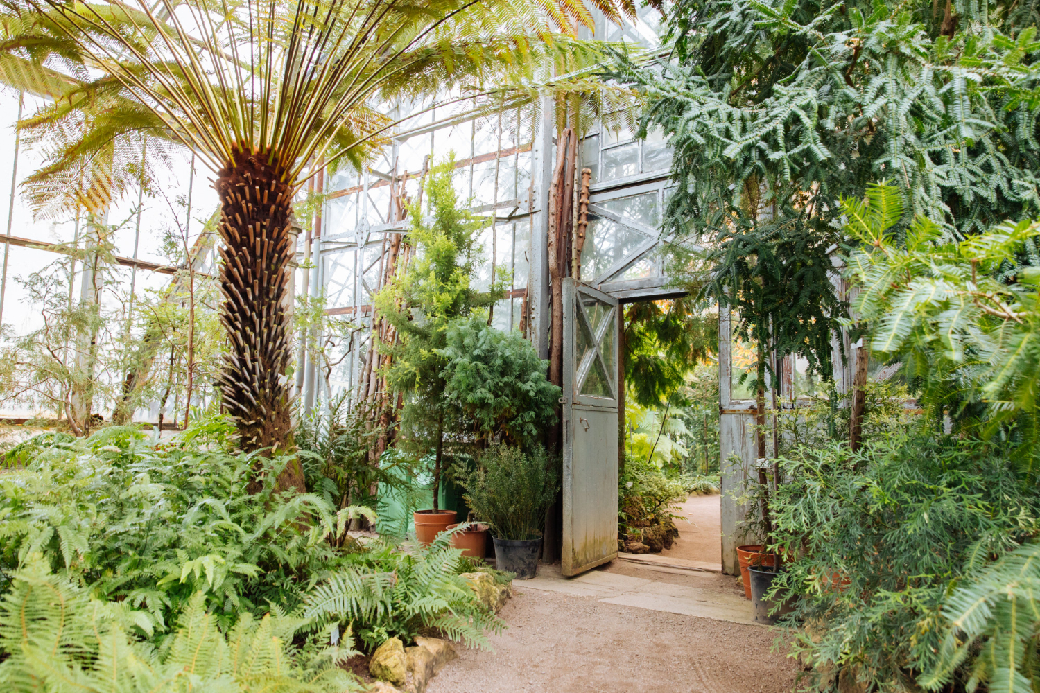 Экскурсия «Путешествие в тропики» по Фондовой оранжерее Главного ботанического сада им. Н. В. Цицина РАН в Москве