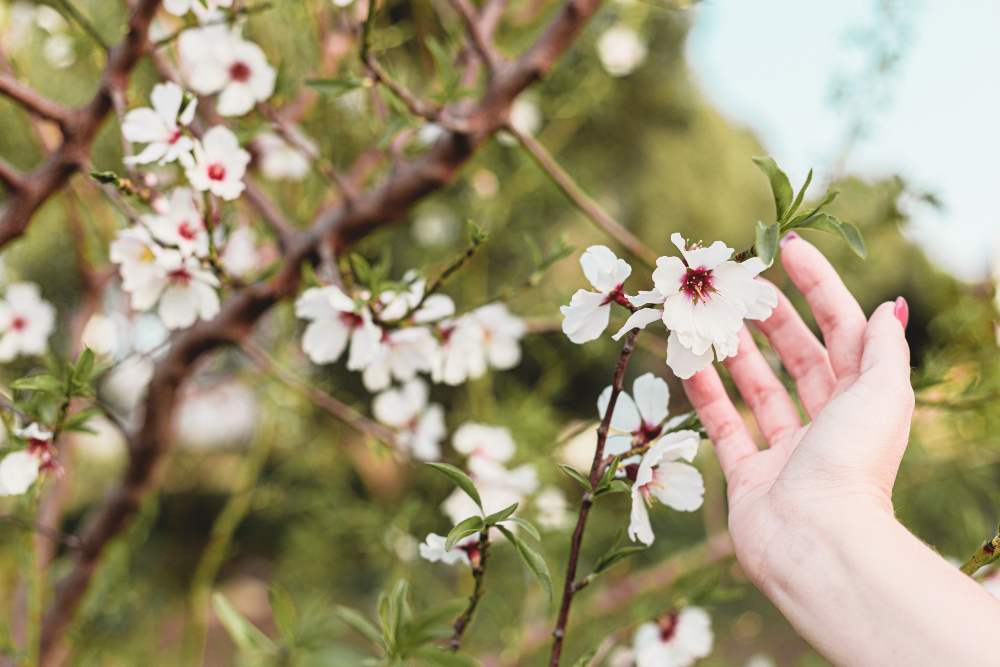 Московских аллергиков предупредили о начале цветения берез, фото