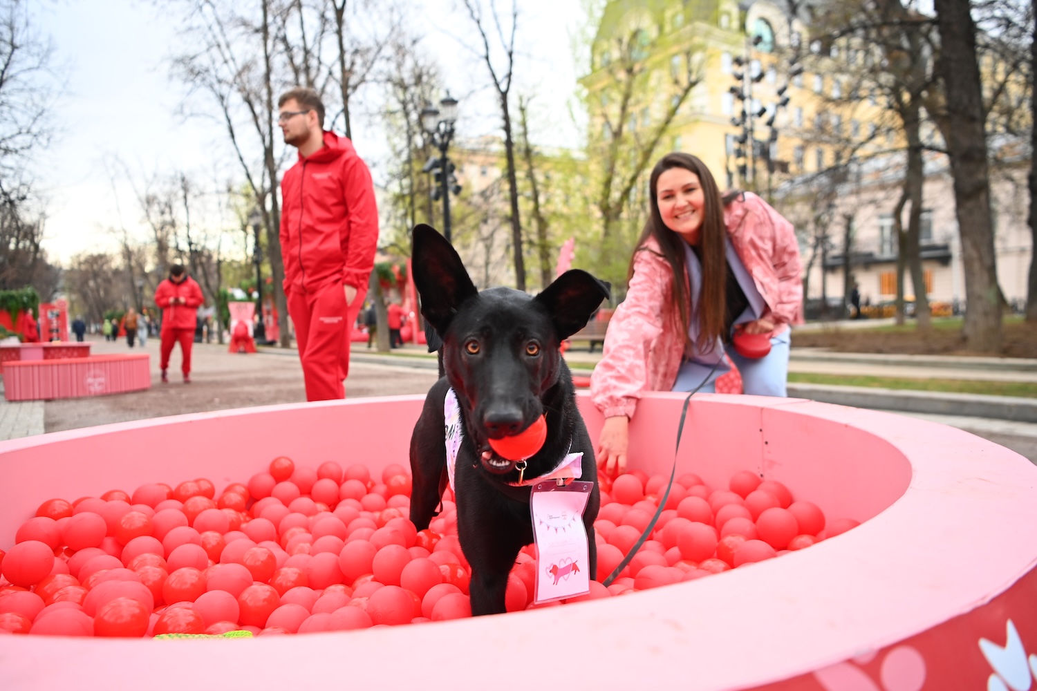 Более 30 животных обрели хозяев на фестивале «Пасхальный дар», фото