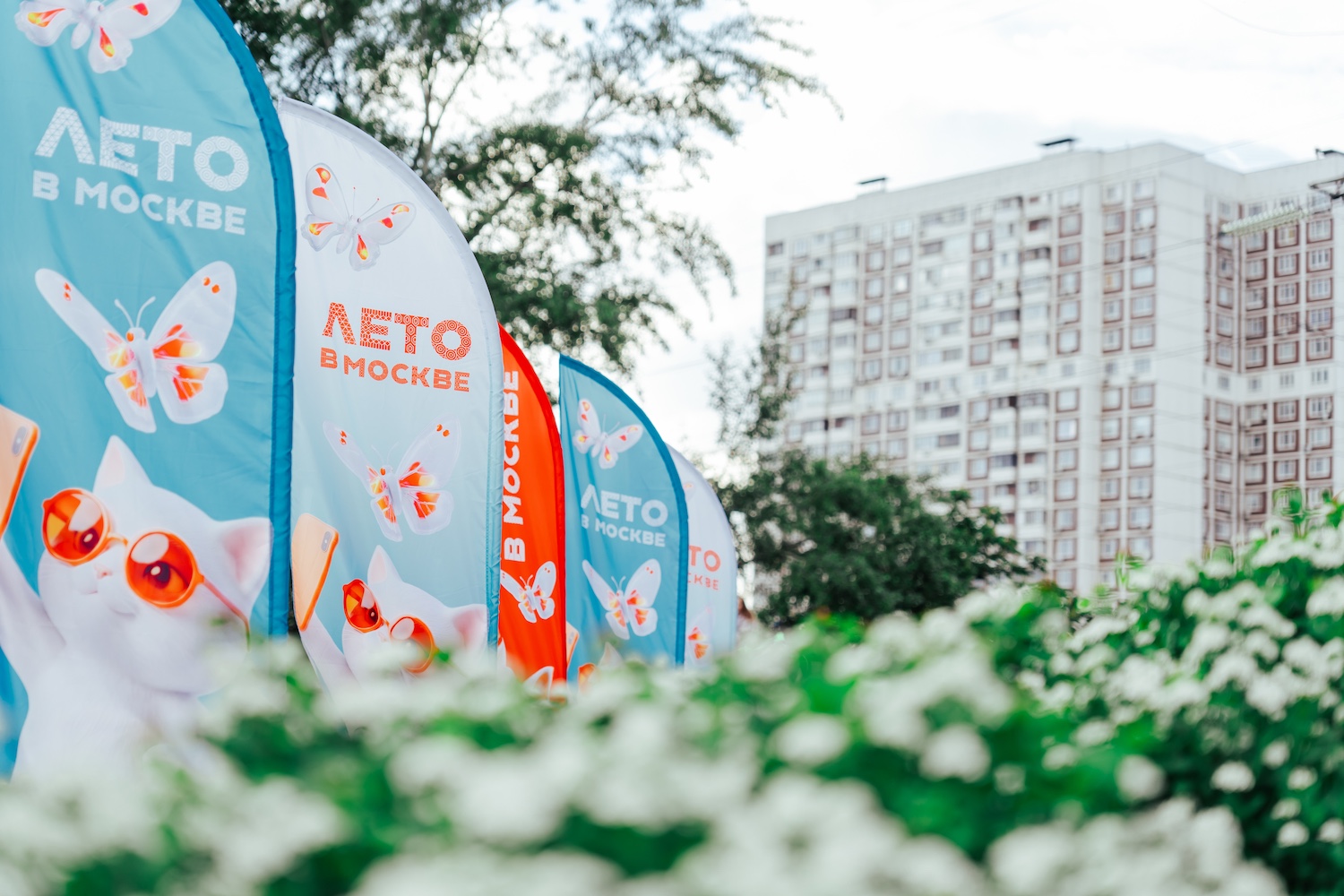 В парке 850-летия Москвы показали мюзикл на роликах в рамках проекта «Лето в Москве», фото