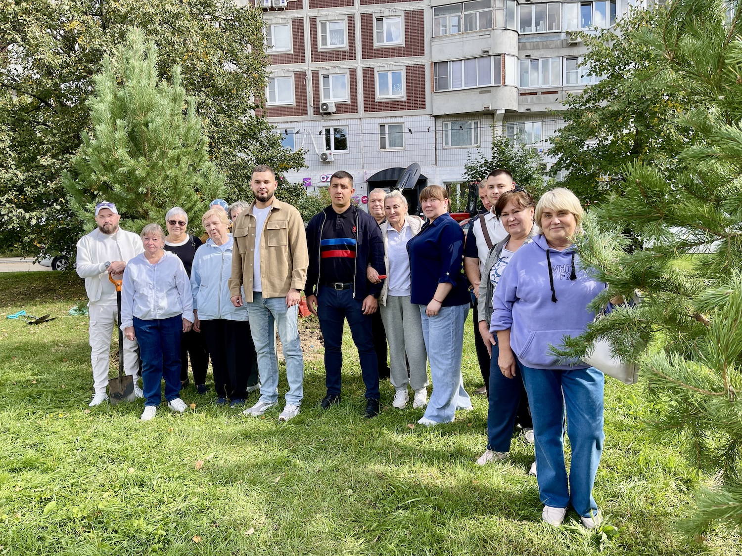 Озеленение дворовых территорий провели в районе Свиблово, фото