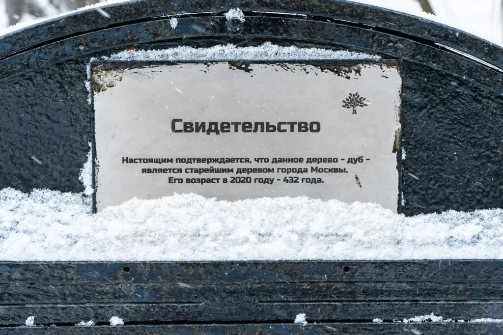 Ховрино — Речной вокзал: зелёный «Лебедь» на Фестивальном пруду Ховрино — Речной вокзал: зелёный «Лебедь» на Фестивальном пруду фото