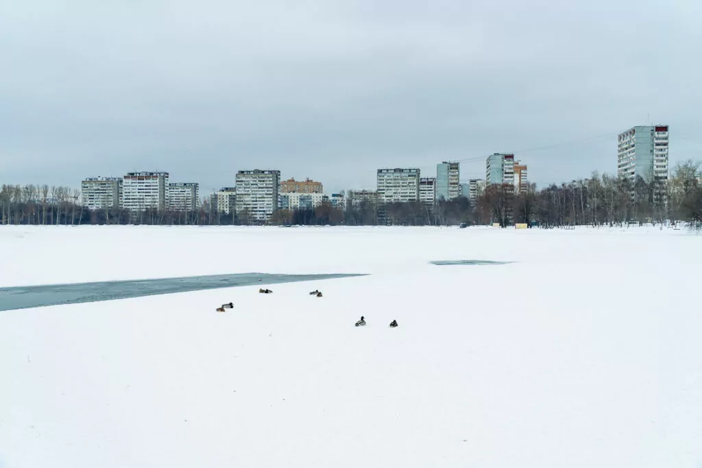 Водный стадион — Коптево: из села в город  фото