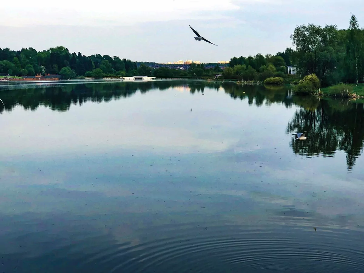 Внуковские воды, фото