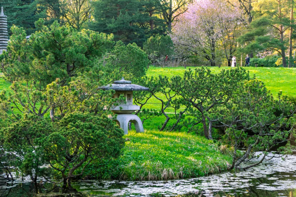 История моды и японский сад: куда пойти после работы  фото