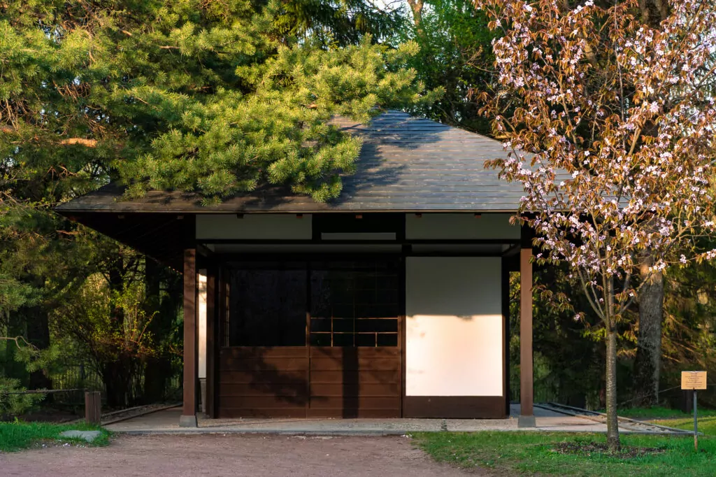 История моды и японский сад: куда пойти после работы  фото