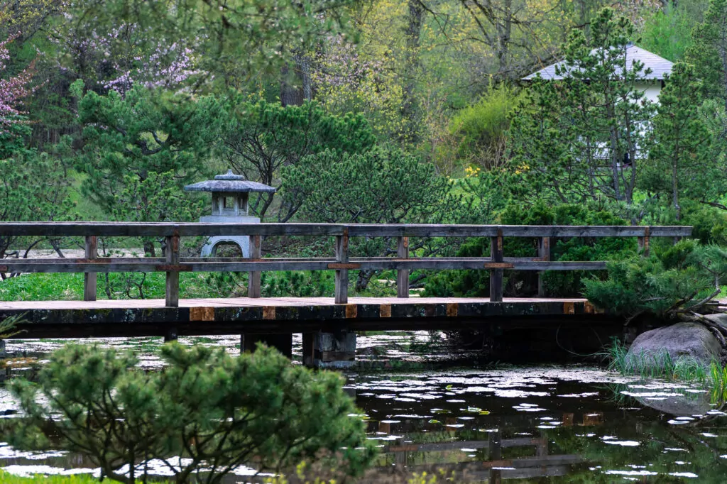 История моды и японский сад: куда пойти после работы  фото