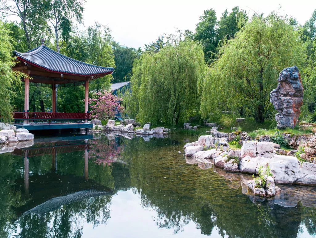 Завтрак с питомцем, столетние СМИ и китайский «дзен»: куда пойти после работы   фото