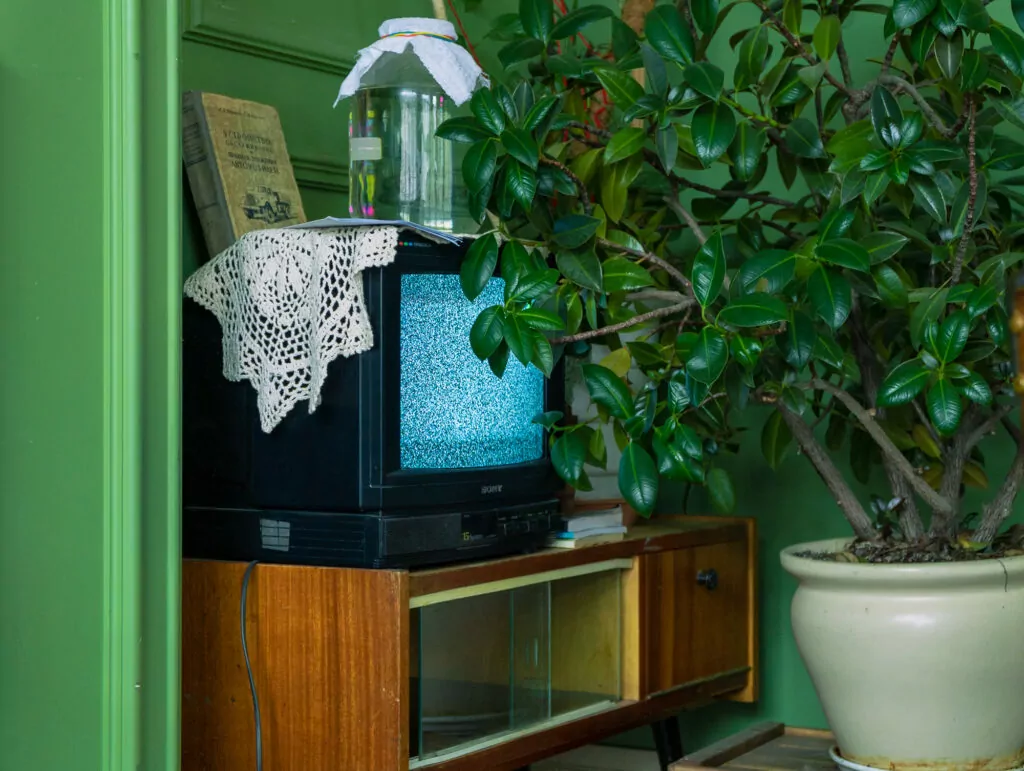 Завтрак с питомцем, столетние СМИ и китайский «дзен»: куда пойти после работы   фото