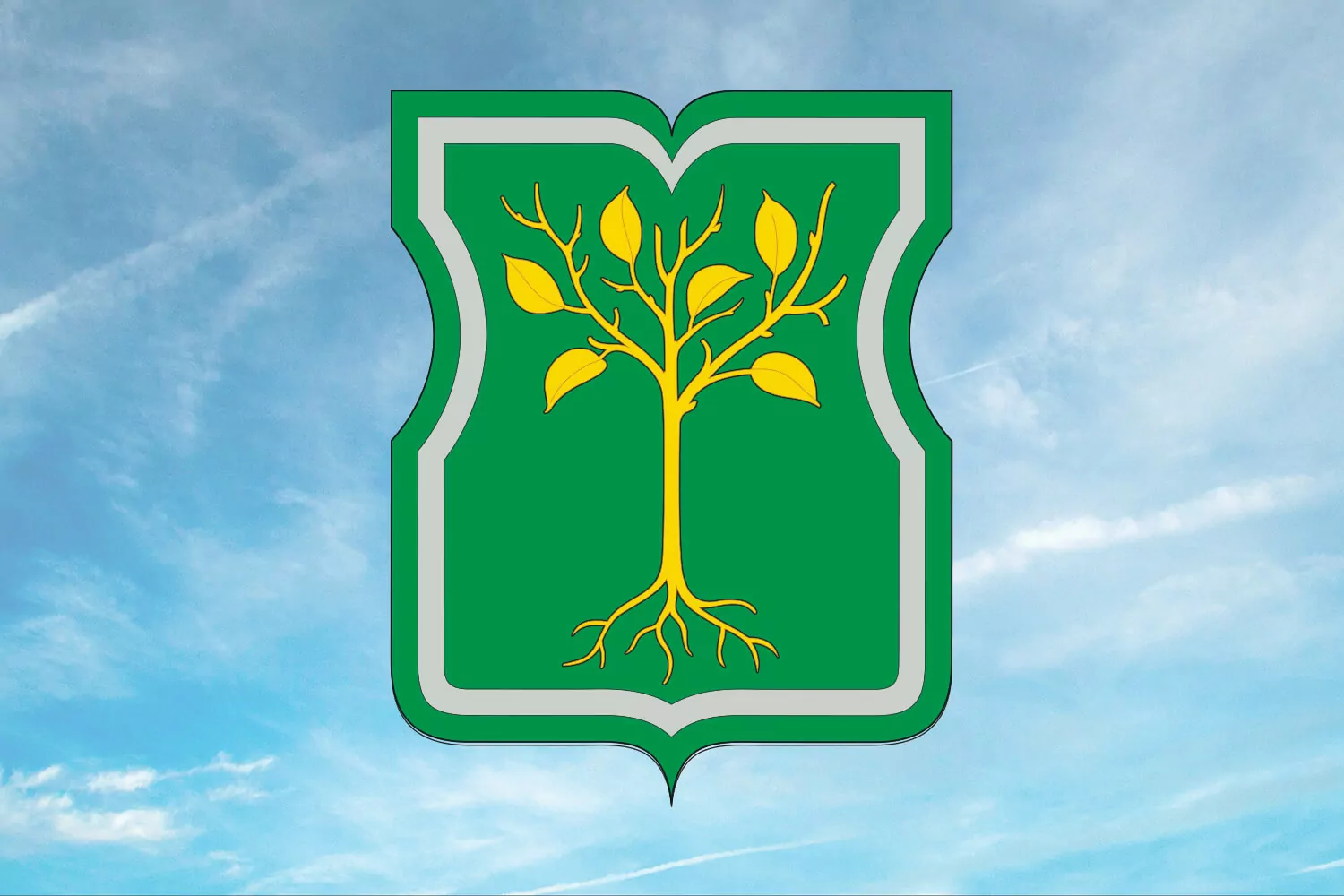 Портрет района Чертаново Центральное, фото