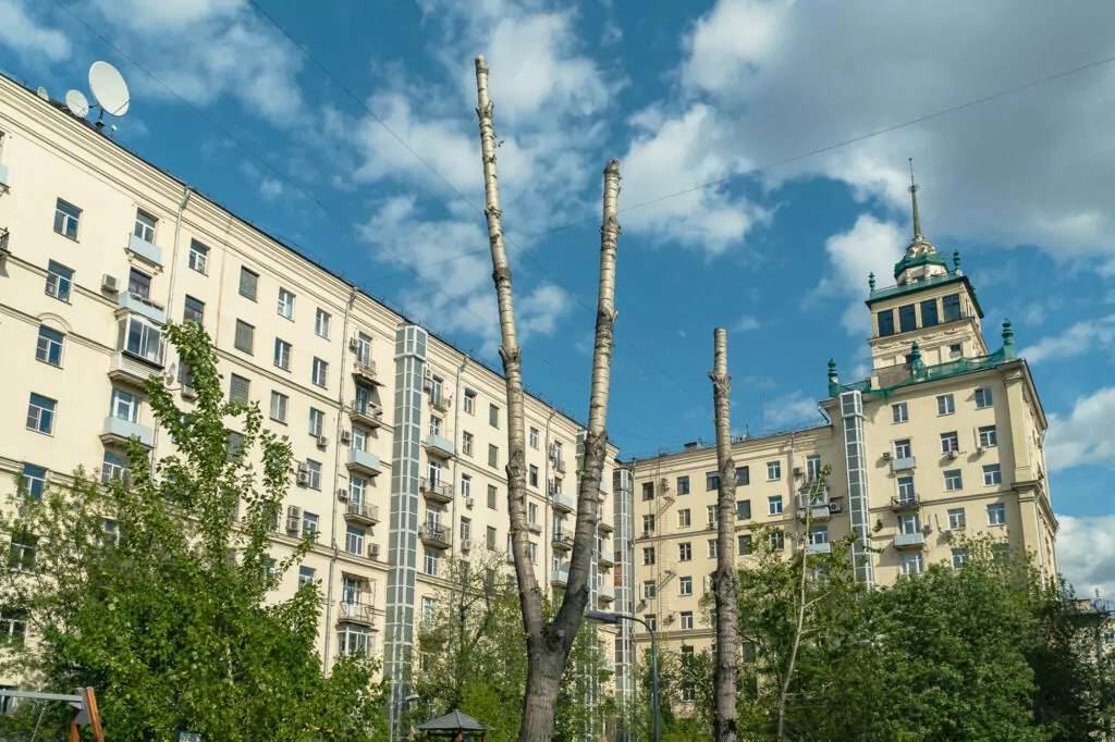 Парк культуры — Фрунзенская: вестник вестибюлей Парк культуры — Фрунзенская: вестник вестибюлей фото