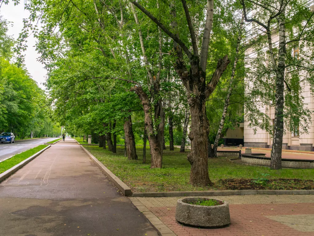 Университет — Ломоносовский проспект: аллея правды, аллея любви, аллея для гонок Университет — Ломоносовский проспект: аллея правды, аллея любви, аллея для гонок фото