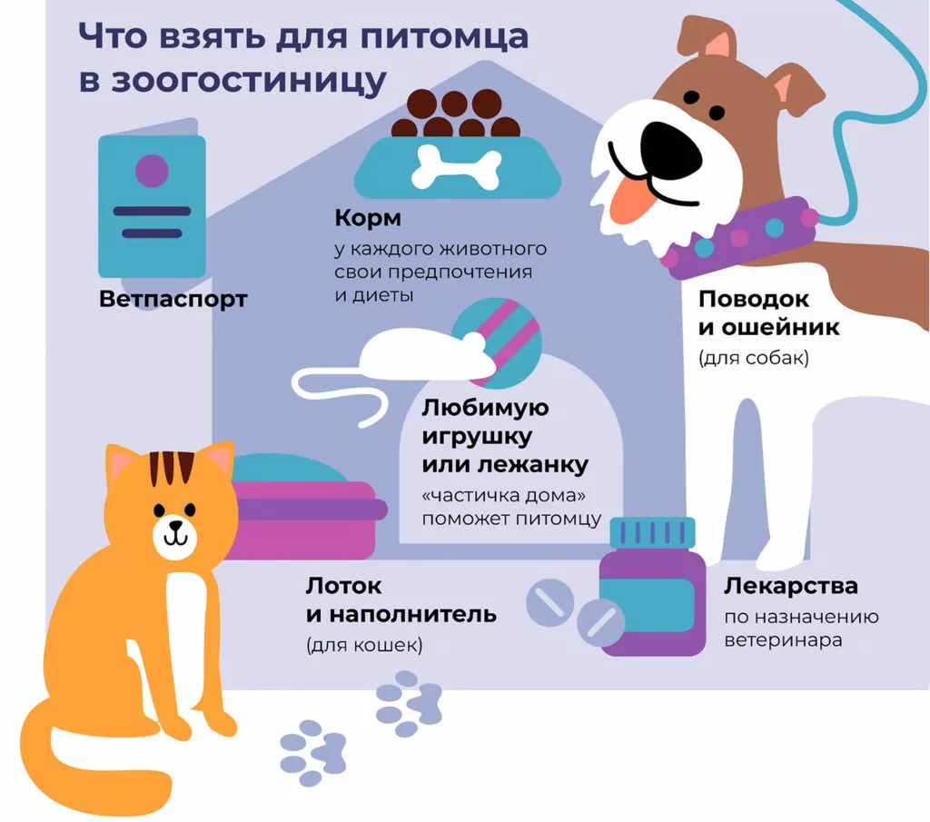 На что обратить внимание, устраивая питомца в зоогостиницу На что обратить внимание, устраивая питомца в зоогостиницу фото