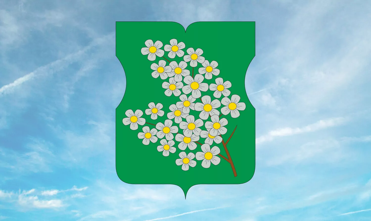 Портрет района Черемушки, фото