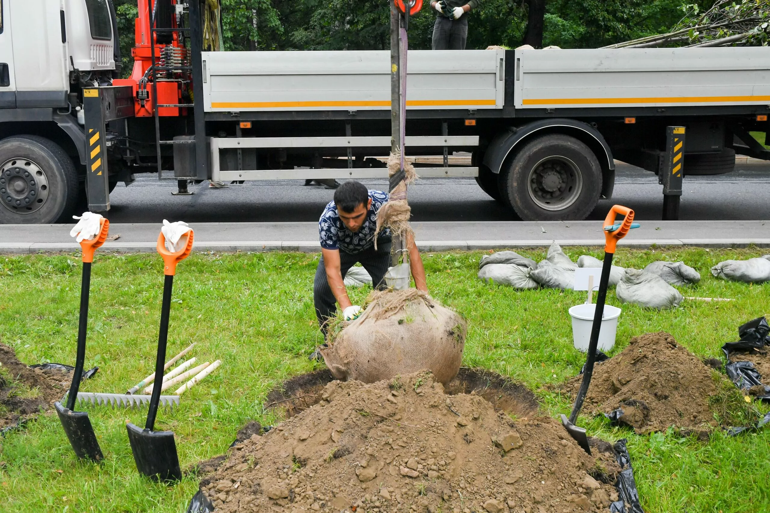 В Нагорном районе высадят около двухсот деревьев, фото