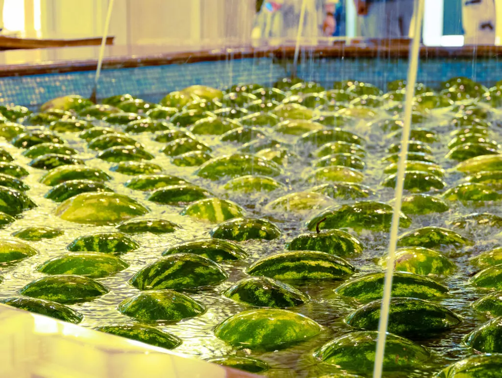 Едим арбузы и отказываемся от вредных привычек &mdash; куда пойти после работы  фото