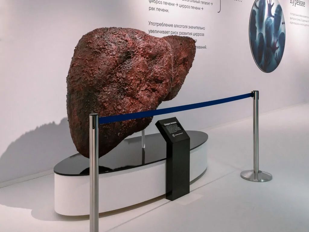 Едим арбузы и отказываемся от вредных привычек &mdash; куда пойти после работы  фото