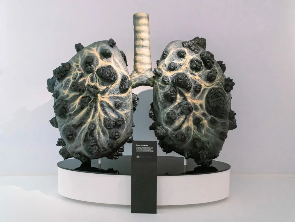 Едим арбузы и отказываемся от вредных привычек &mdash; куда пойти после работы  фото