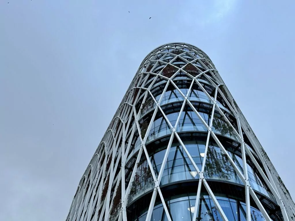 Белорусская — Улица 1905 года: над Зотовым во ржи  фото