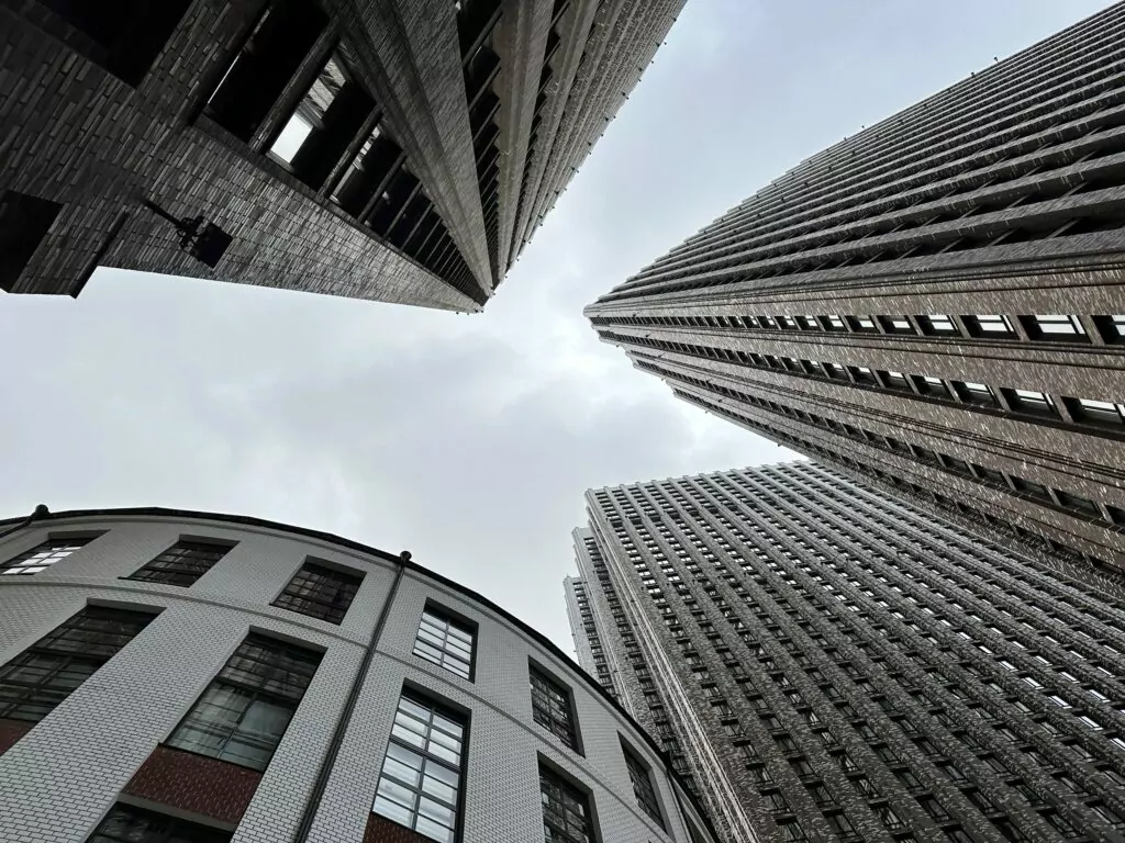 Белорусская — Улица 1905 года: над Зотовым во ржи  фото