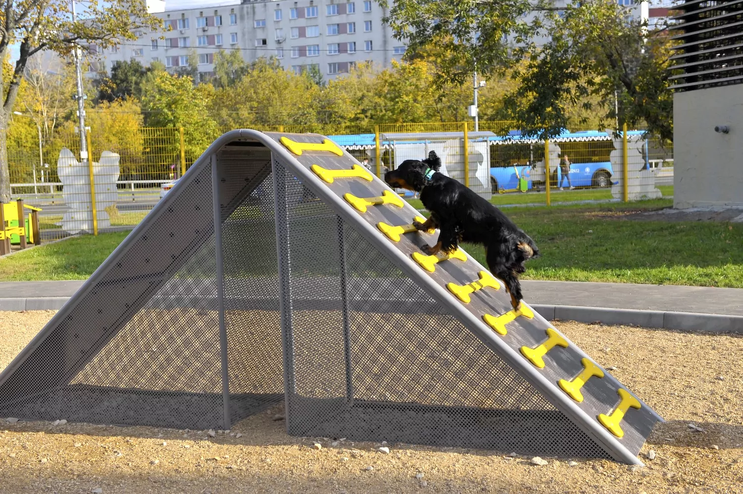 В Коньково появилась современная площадка для выгула собак, фото