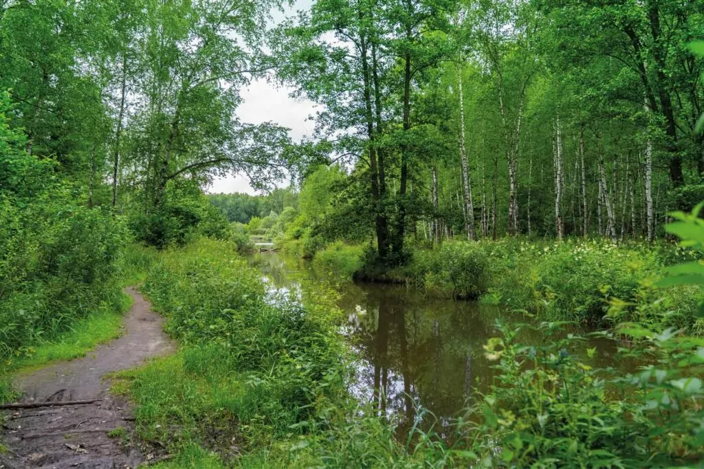 Реки и пруды  фото