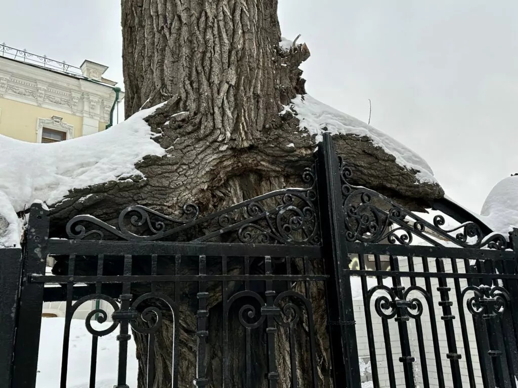Тверская &mdash; Арбатская: первый советский против первого имперского  фото
