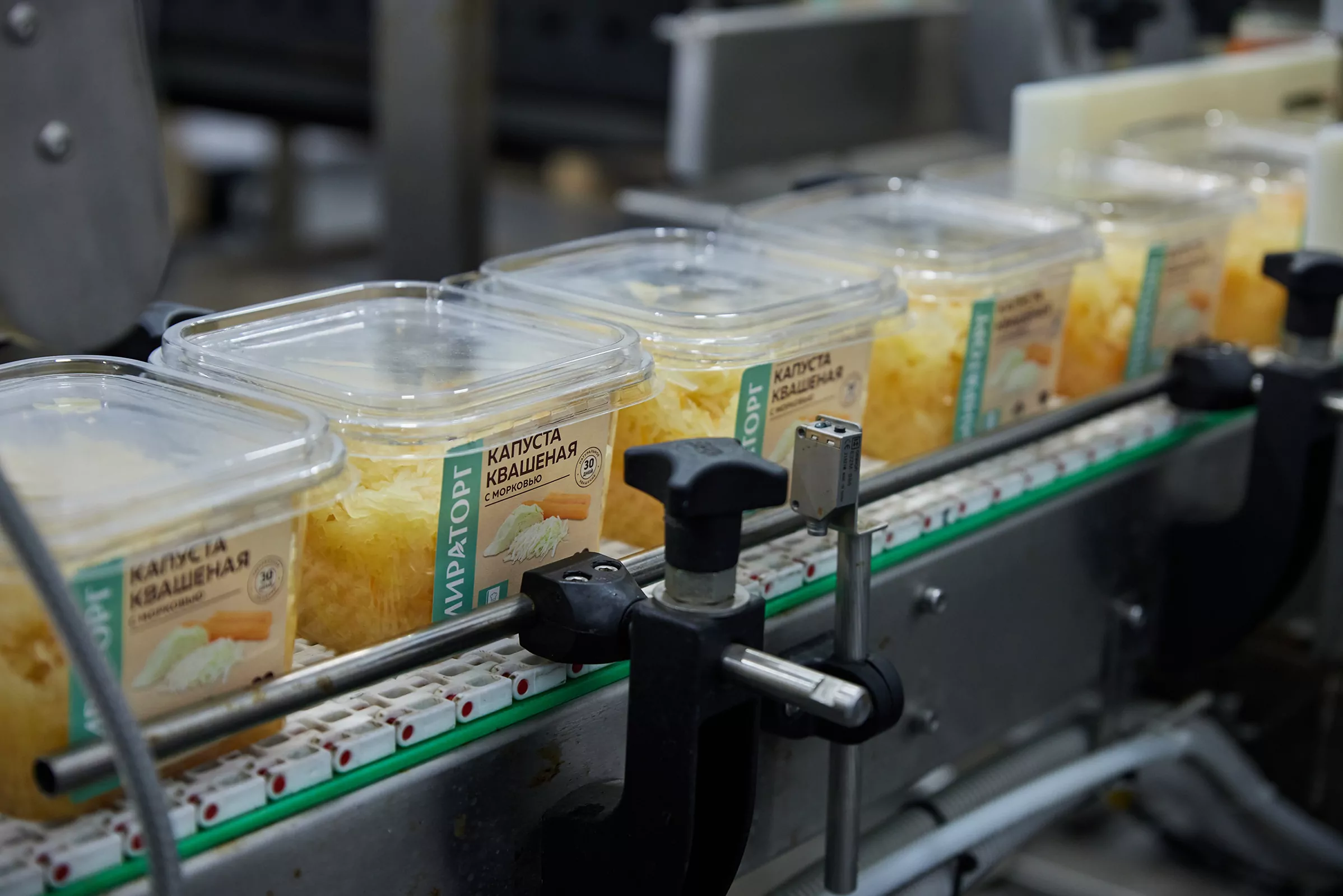 Блюда зимней кухни: «Мираторг» расширил линейку продуктов из овощей собственного производства , фото