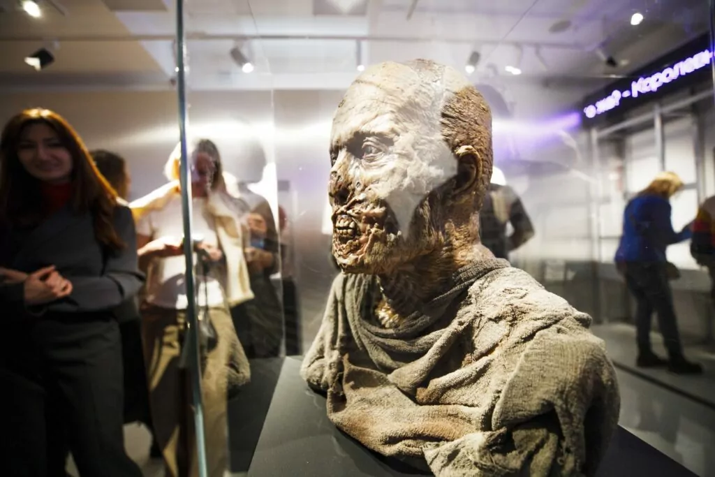 На Киностудии Горького открылась выставка о кинопрофессиях На Киностудии Горького открылась выставка о кинопрофессиях фото