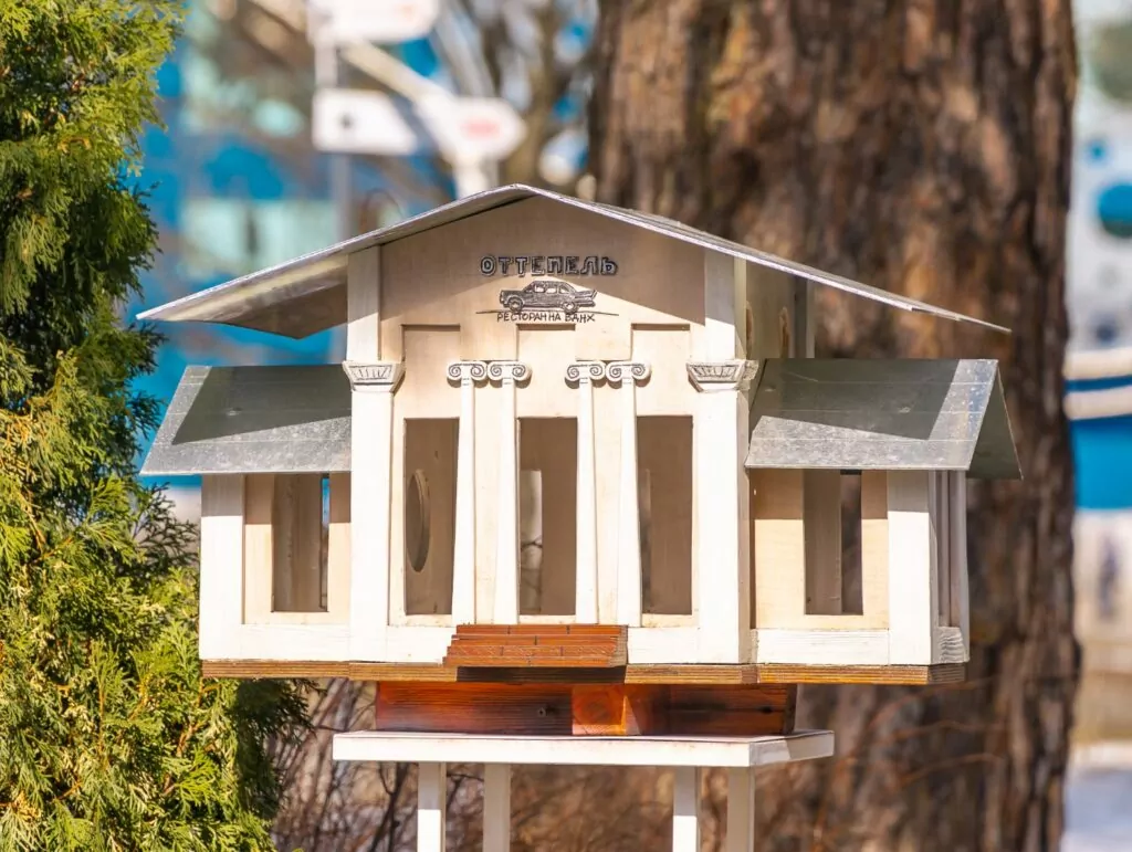 Русская кухня, экзотические животные и поэзия &mdash; куда пойти после работы  фото