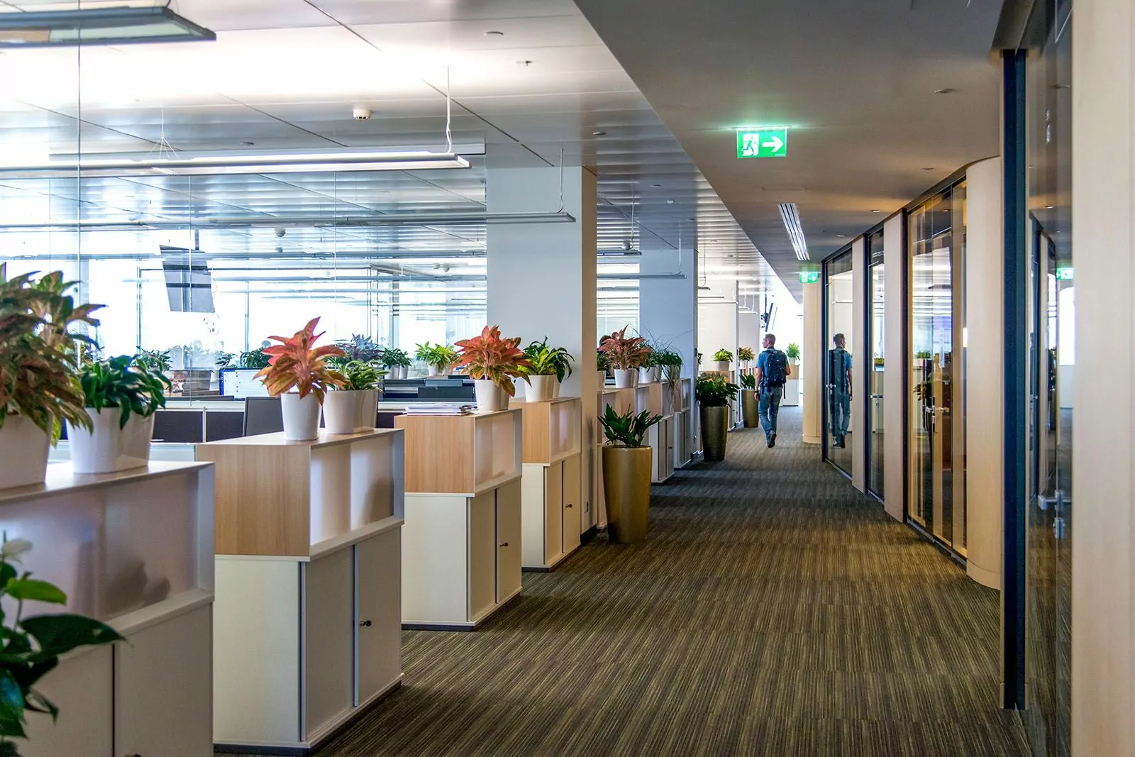 Деловой центр построят рядом с метро «Молодежная», фото