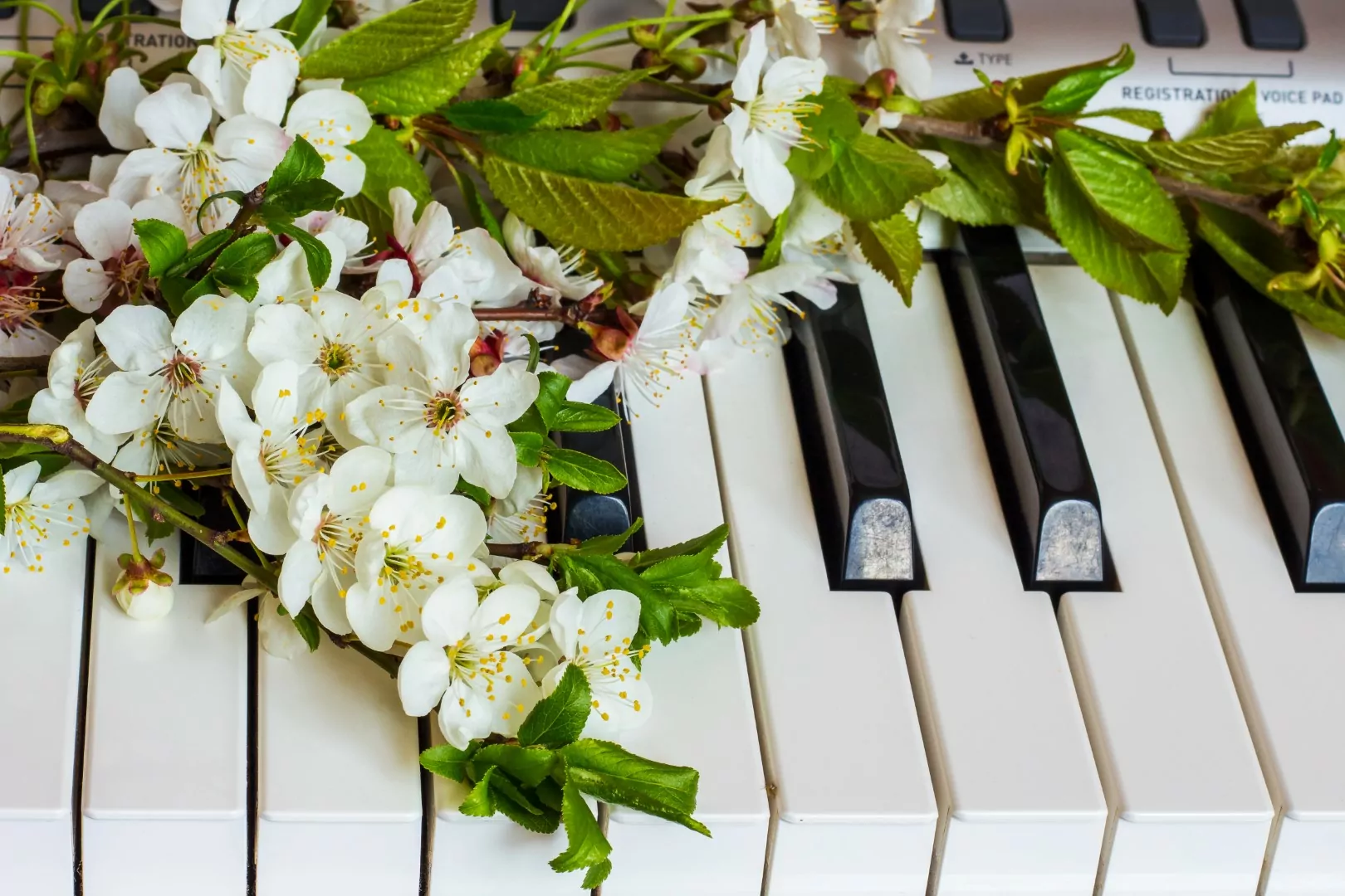 Концерт "Нам нужна одна победа!" пройдет 8 мая в Троицком Доме ученых, фото