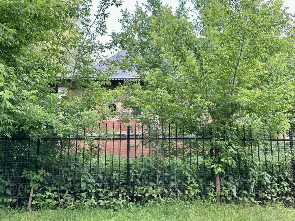 Павелецкая — Тульская: ходить по квартире под Богом Павелецкая — Тульская: ходить по квартире под Богом фото