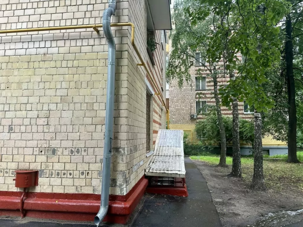 Ботанический сад — Свиблово: «китайская стена», черный паровоз и другие приключения Шурика Ботанический сад — Свиблово: «китайская стена», черный паровоз и другие приключения Шурика фото