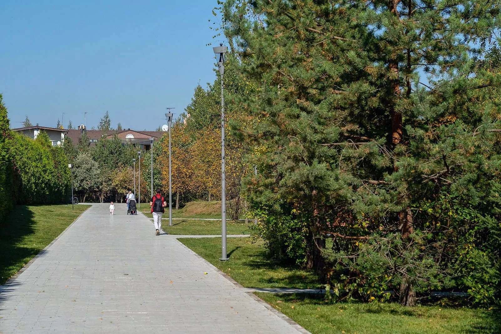 Москвичи определят, как благоустроить территорию возле станции метро «Физтех», фото