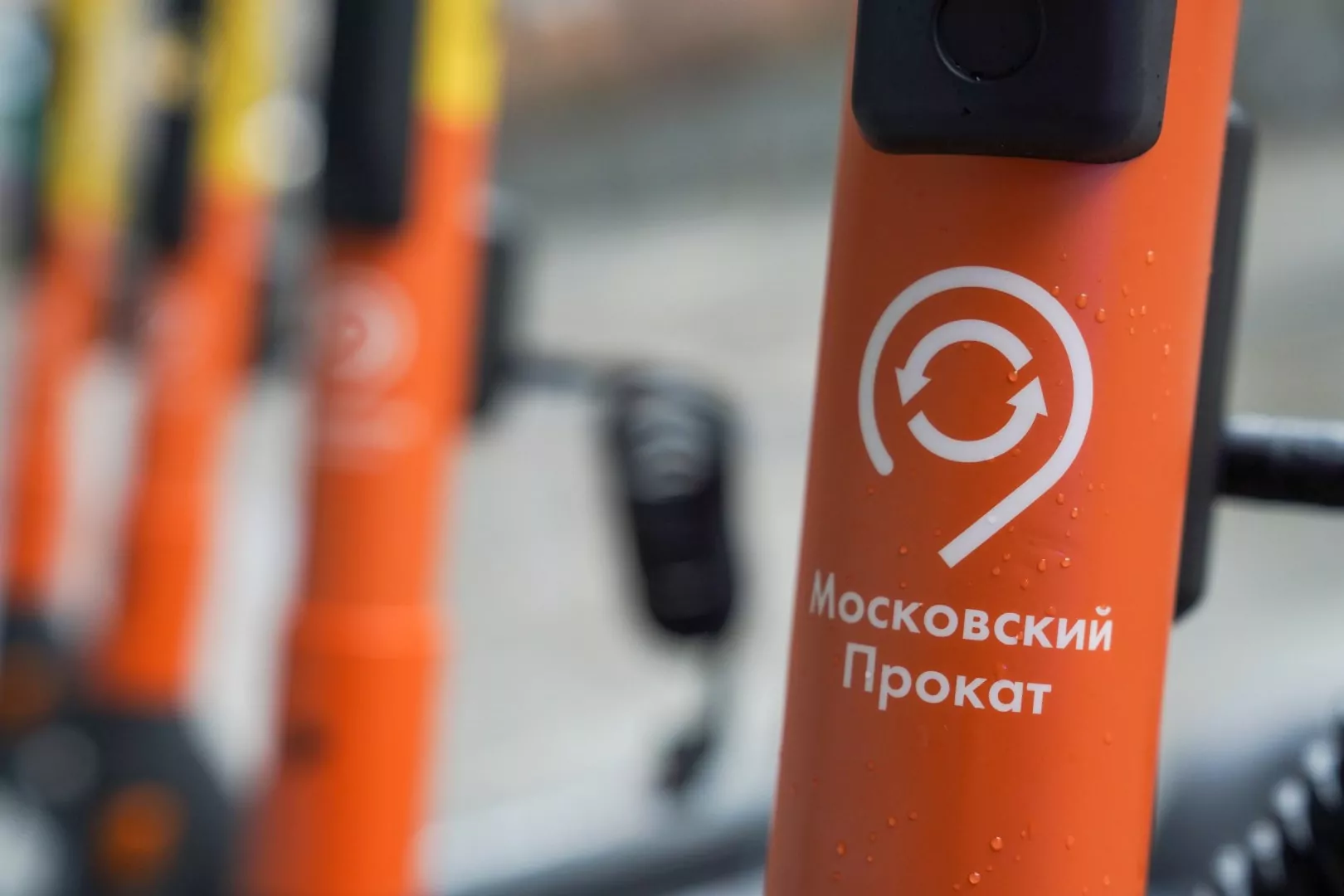 Алексей Кучмин: Нужно повышать уровень социальной ответственности среди прокатчиков самокатов, фото